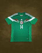 México 2014 - Local