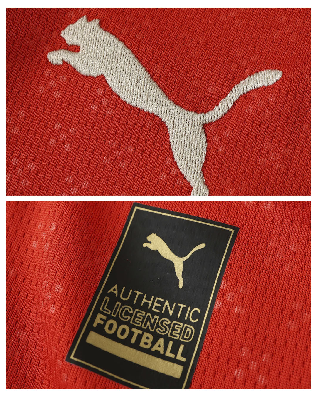 Portugal 2025/26 - Local