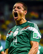 México 2014 - Local