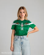 México 2014 - Local