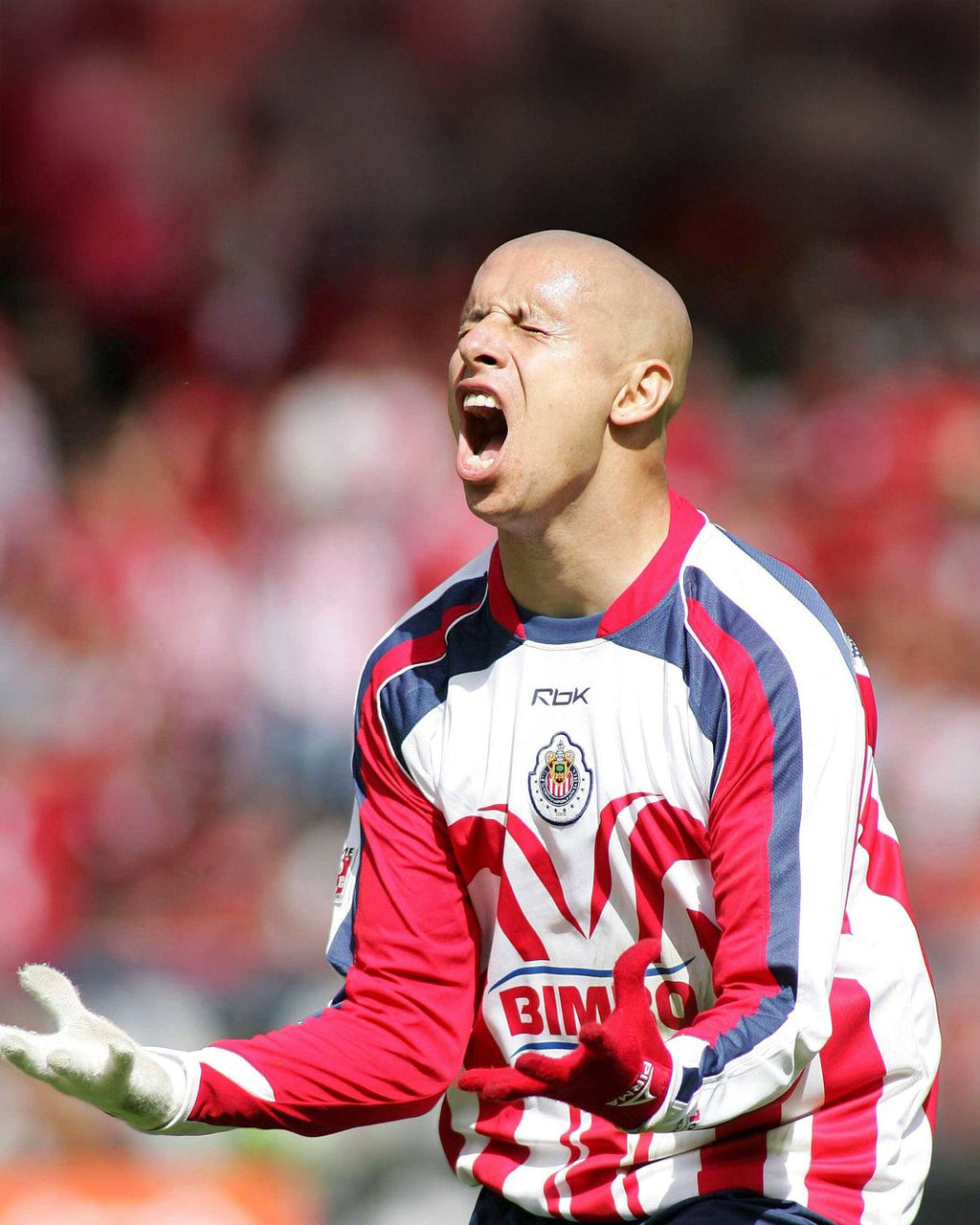 Chivas 2006/07 - Local