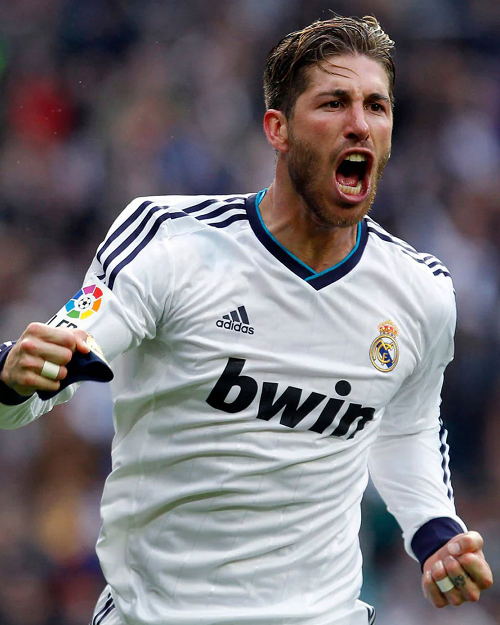 Real Madrid 2012/13 - Local