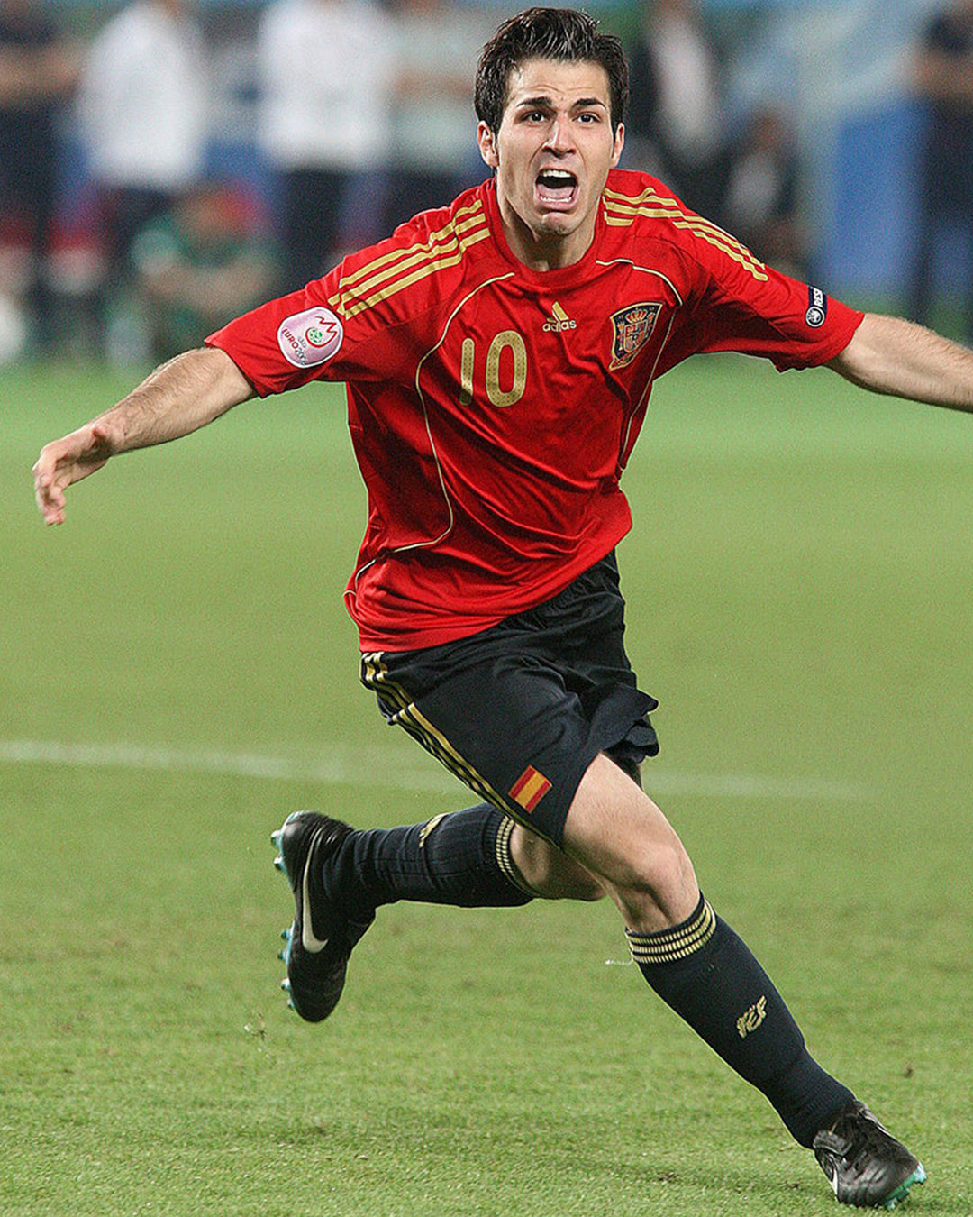 España 2008 - Local